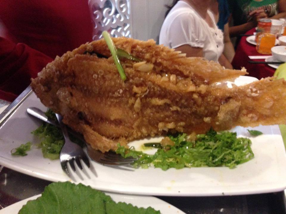 10366259 1462464803993803 6074152220100333406 n